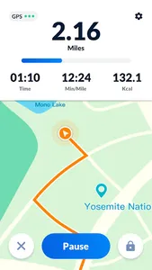 Pedometer - Step Counter screenshot 2