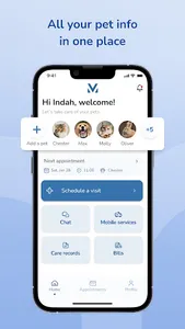 modernvet screenshot 2