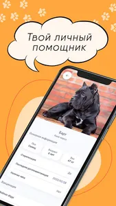 VetMap - услуги для животных screenshot 5