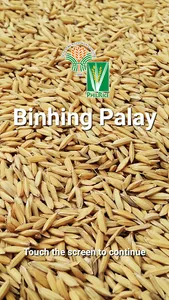 Binhing Palay screenshot 0