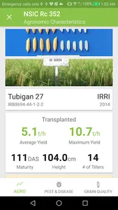 Binhing Palay screenshot 4