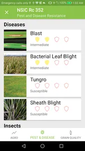 Binhing Palay screenshot 6
