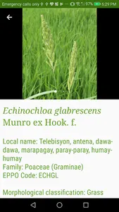 eDamuhan screenshot 3