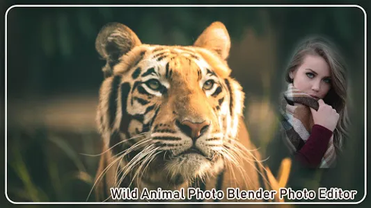 WILD ANIMAL PHOTO EDITOR & WIL screenshot 21