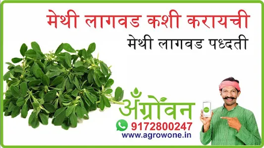 फुलकोबी लागवड #Agrownet™ screenshot 1