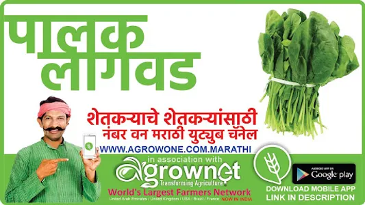 फुलकोबी लागवड #Agrownet™ screenshot 10