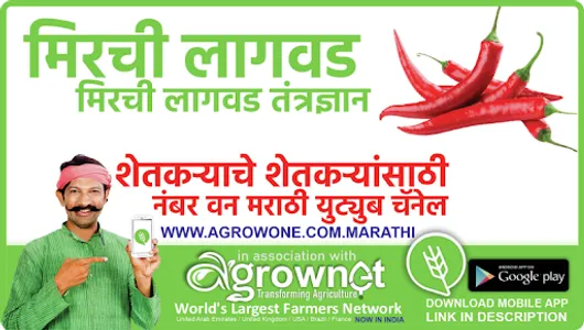 फुलकोबी लागवड #Agrownet™ screenshot 13