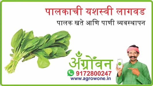 फुलकोबी लागवड #Agrownet™ screenshot 16