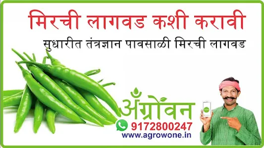 फुलकोबी लागवड #Agrownet™ screenshot 17