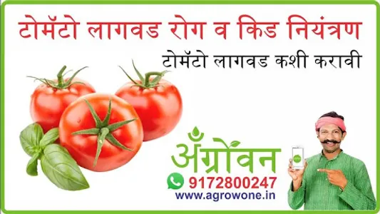 फुलकोबी लागवड #Agrownet™ screenshot 6
