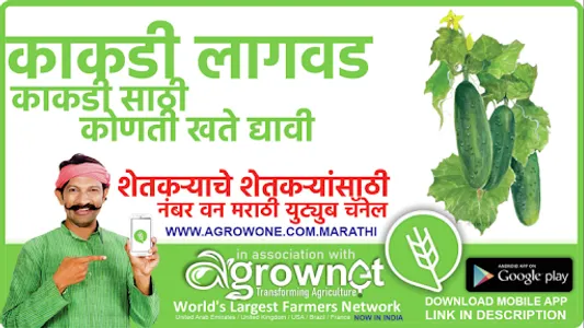 फुलकोबी लागवड #Agrownet™ screenshot 7