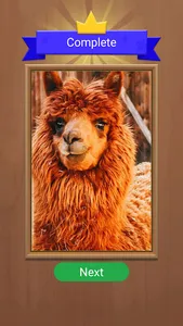Jigsaw Sort - Art Puzzle screenshot 3