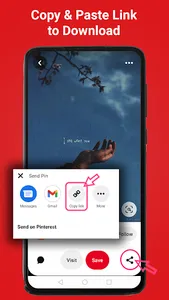 Video Downloader for Pinterest screenshot 12