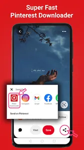 Video Downloader for Pinterest screenshot 5