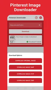 Pinterest Video Downloader screenshot 7