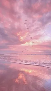 Pink Aesthetic Wallpaper screenshot 6