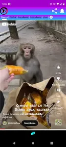 elpípo! all reels screenshot 1