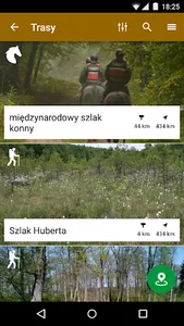 Puszcza Gorzowska screenshot 2