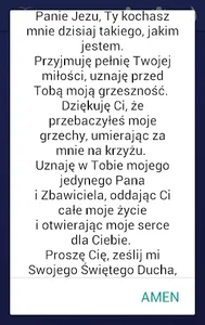 Biblia90dni screenshot 3