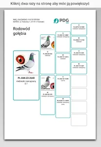 PDG app screenshot 3