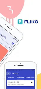 Fliko screenshot 2
