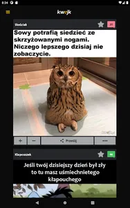 Kwejk.pl screenshot 4