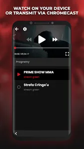 Prime MMA Player screenshot 2