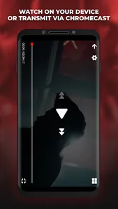 Prime MMA Player screenshot 3
