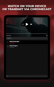 Prime MMA Player screenshot 6