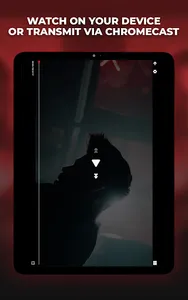 Prime MMA Player screenshot 7