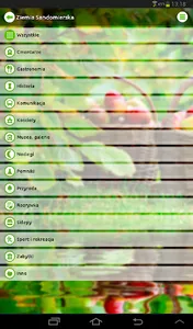 Ziemia Sandomierska screenshot 8