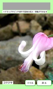 高山植物がすぐわかる screenshot 5