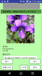 野草がすぐわかる（仮）統合版 screenshot 3