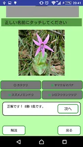 野草がすぐわかる（仮）統合版 screenshot 5
