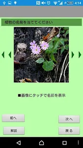 山野草がすぐわかる screenshot 6