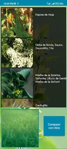 Plantas medicinales del Perú screenshot 1