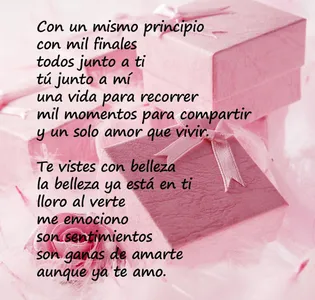 POEMAS DE SENTIMIENTOS ROMANTI screenshot 13