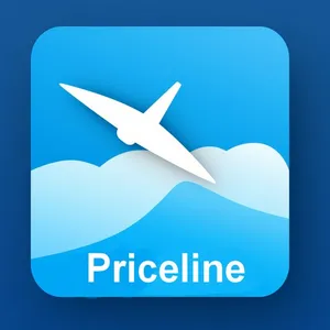 priceline flight screenshot 0