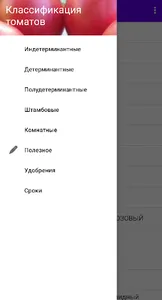 Томатные заметки screenshot 0
