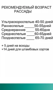 Томатные заметки screenshot 3
