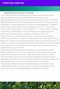 Томатные заметки screenshot 5