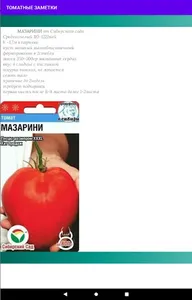 Томатные заметки screenshot 8