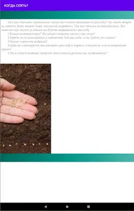Томатные заметки screenshot 9