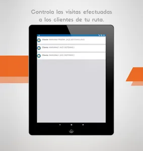 Promotoría y CRM screenshot 8
