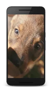 Puppies Video Wallpaper screenshot 1