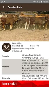 Sola Marca screenshot 4