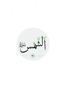 سورة الشمس صوت بدون انترنت screenshot 14