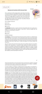 Applied Psychology (3rd year) screenshot 4