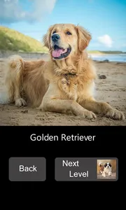 Quick Puzzle - Dogs screenshot 1