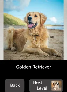 Quick Puzzle - Dogs screenshot 6